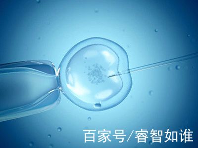 找卵代生子机构